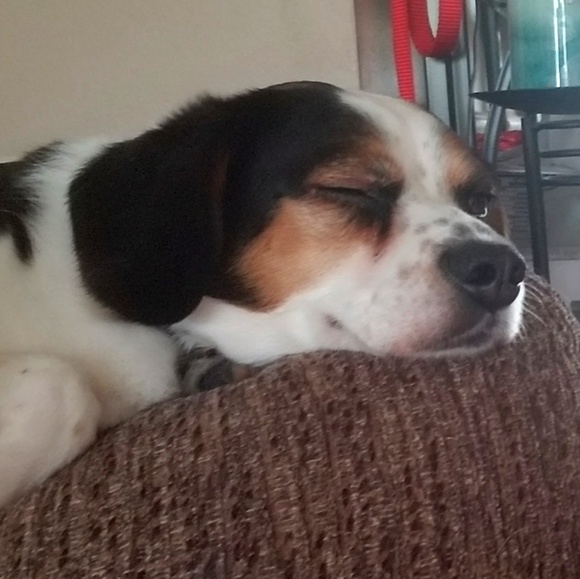 Meet your Posher, Cyndi - Picture 3 of 7